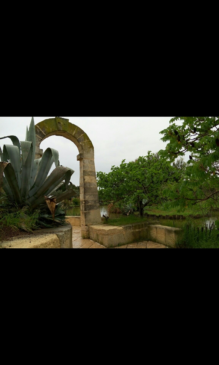 Parc de Palavas les flots