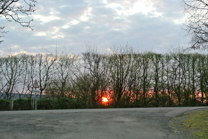 sunset