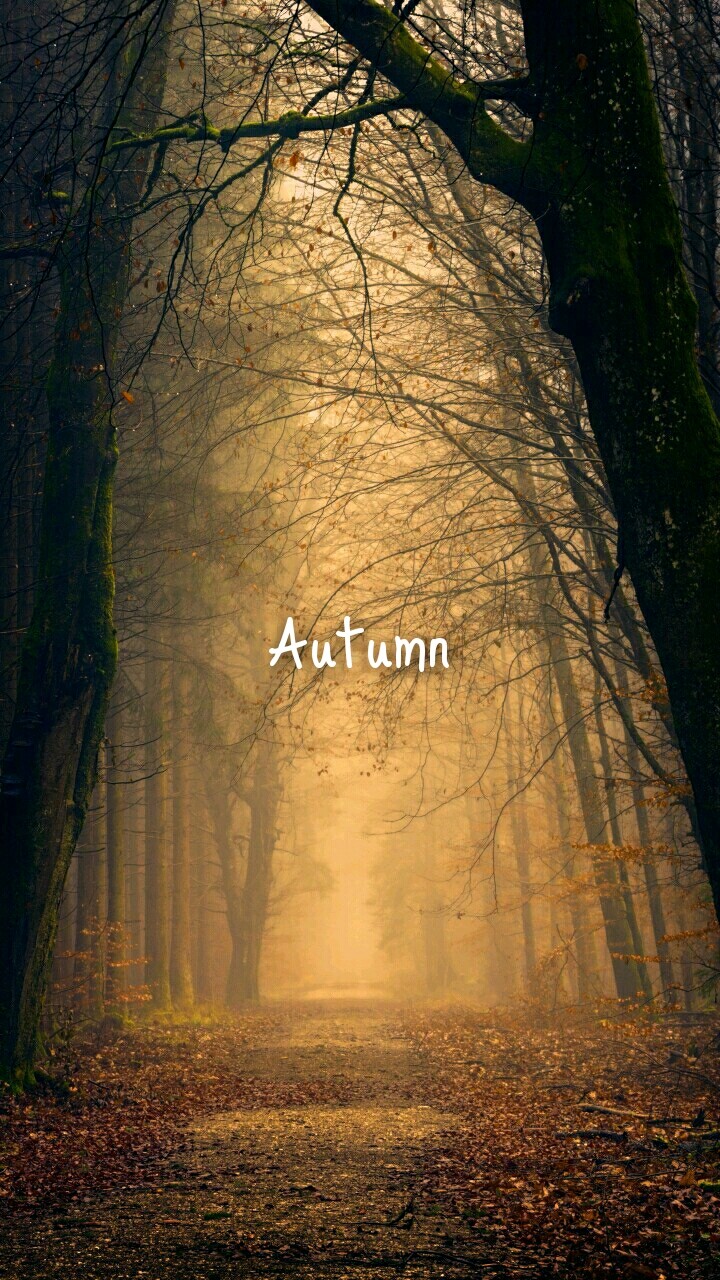 Autumn