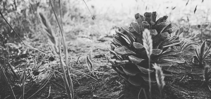natur