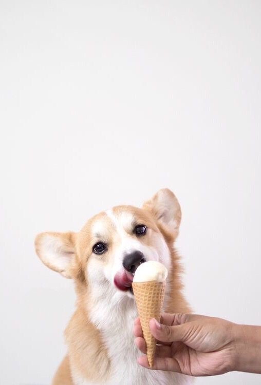 Ice cream is delicious
