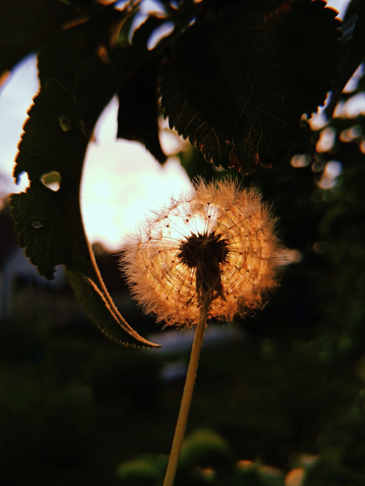 Goodbye, summer