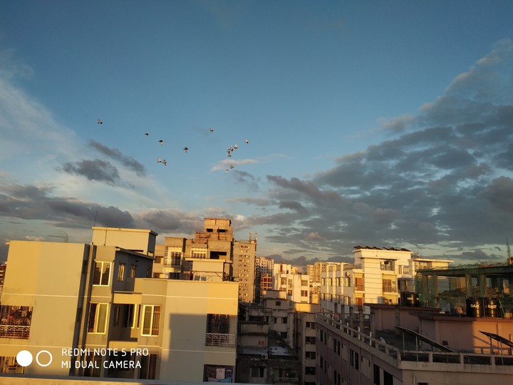 Sky