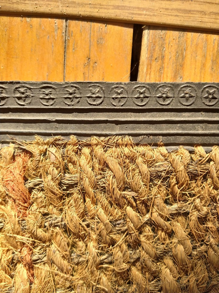 Carpet