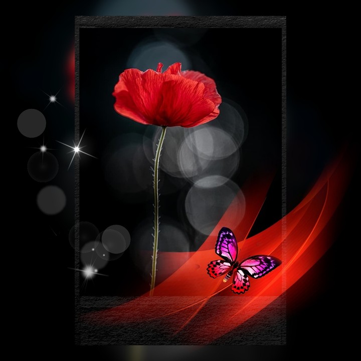 wallpaper...
