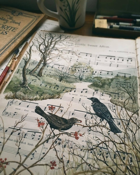 font, bird wallpapers