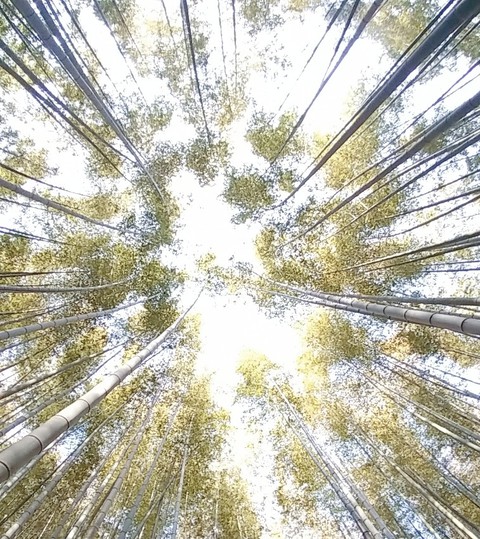 하늘보기