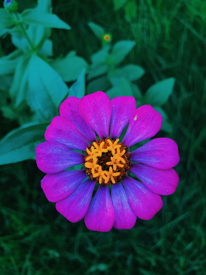 ?