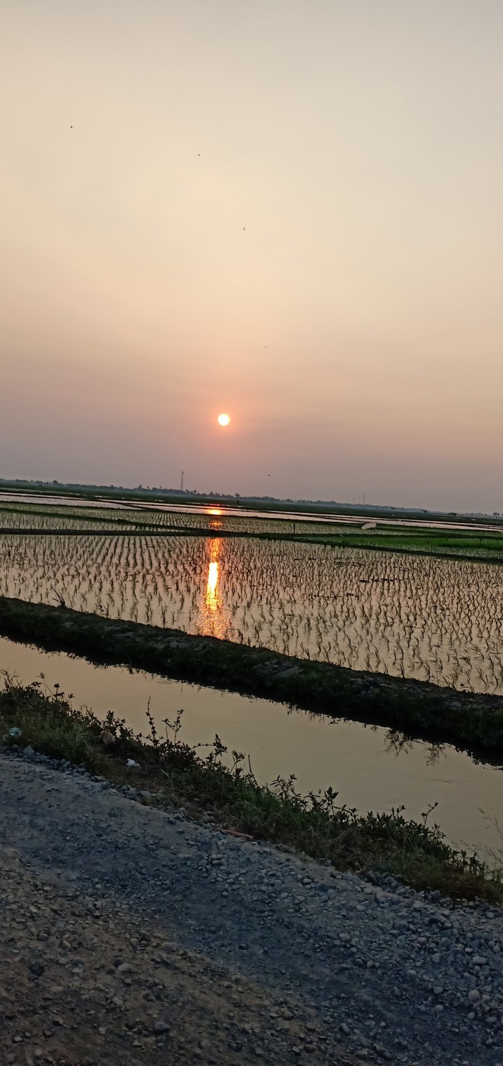 sunset