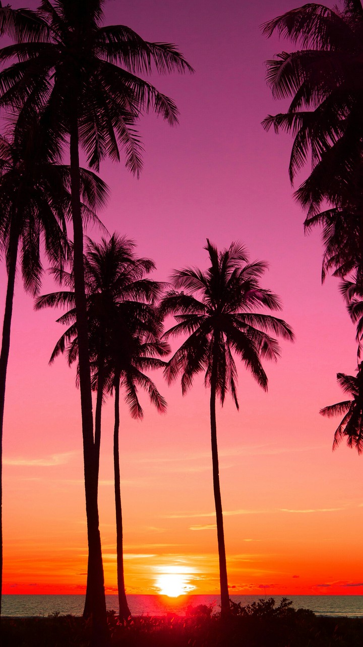 beautiful