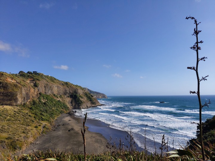trip to new zealand