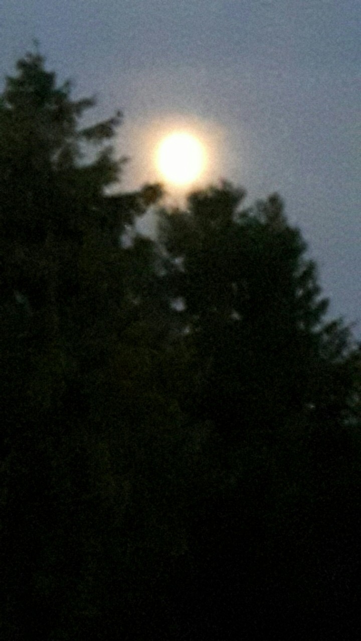summer evening