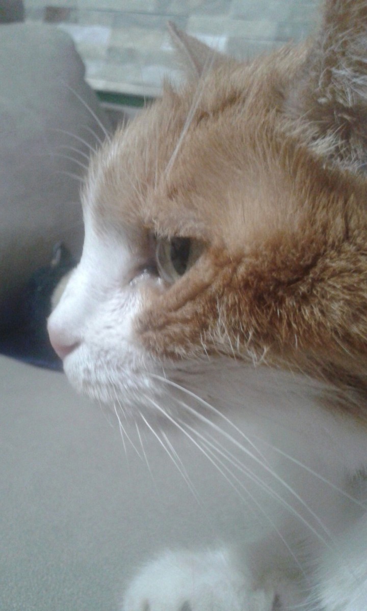 #Janis♥