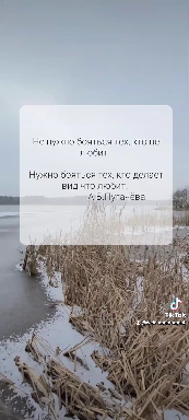 афоризмы