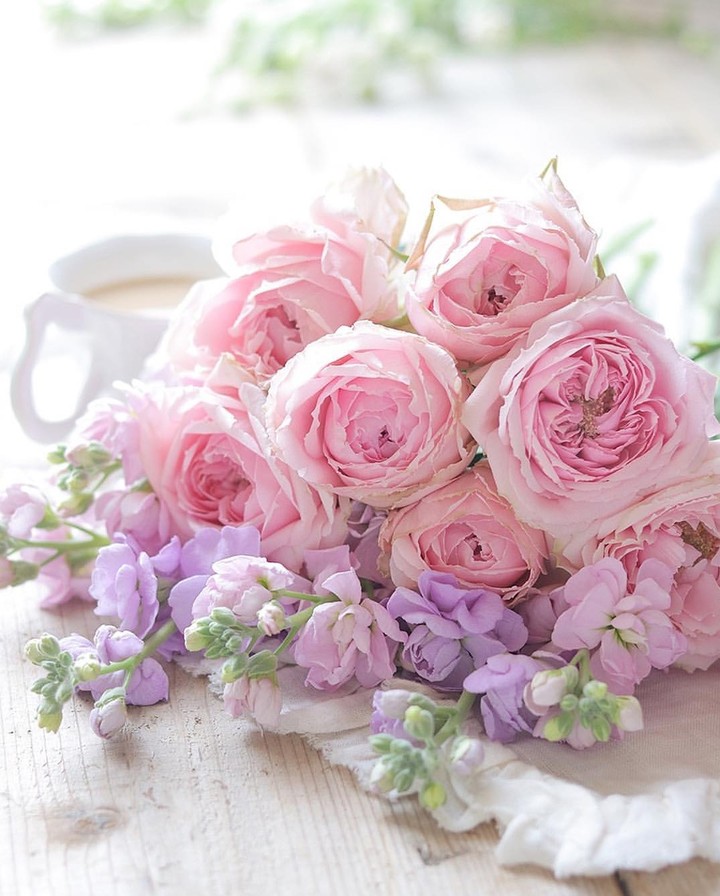 soft beauty