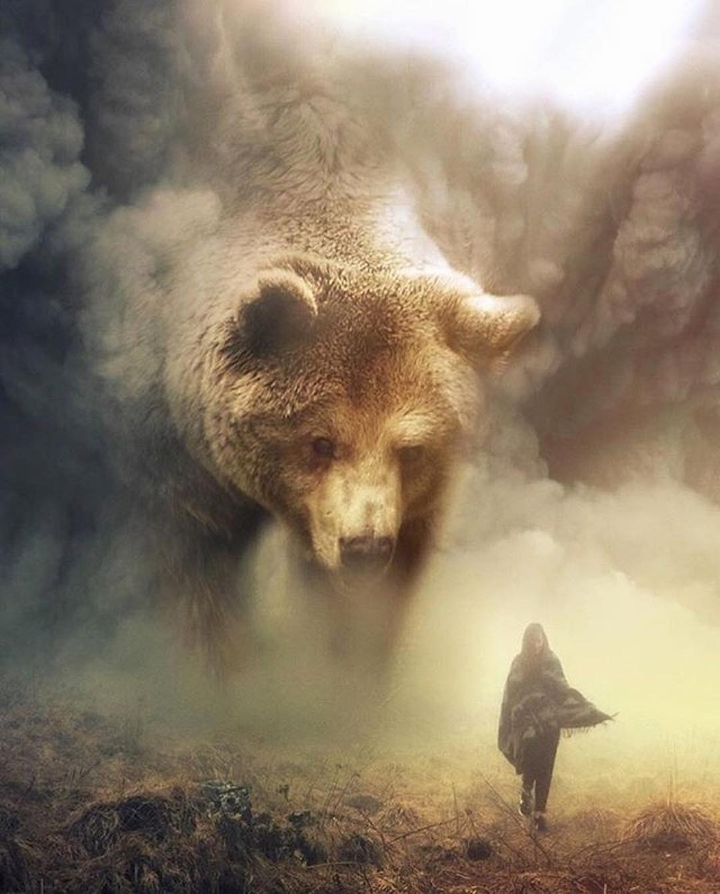bear watch