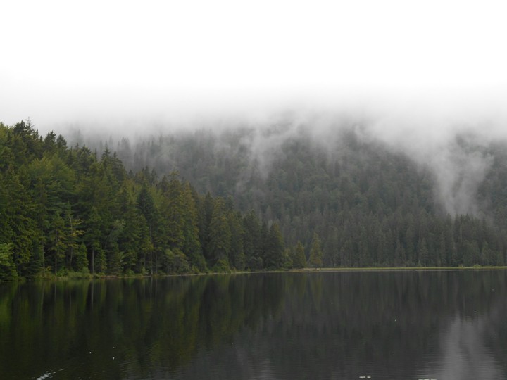 foggy lake