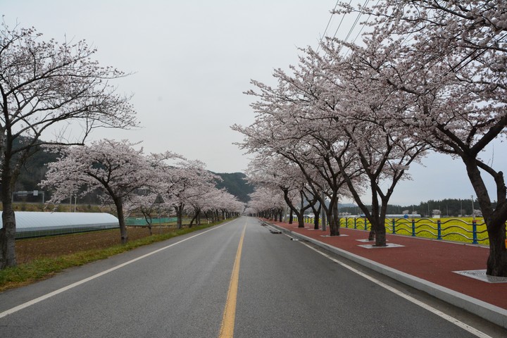 풍경이미지