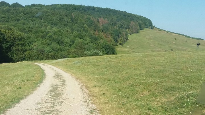 steppe