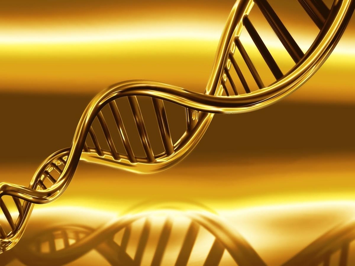 Gold DNA