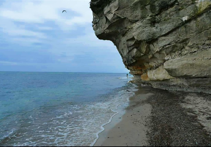 Meer