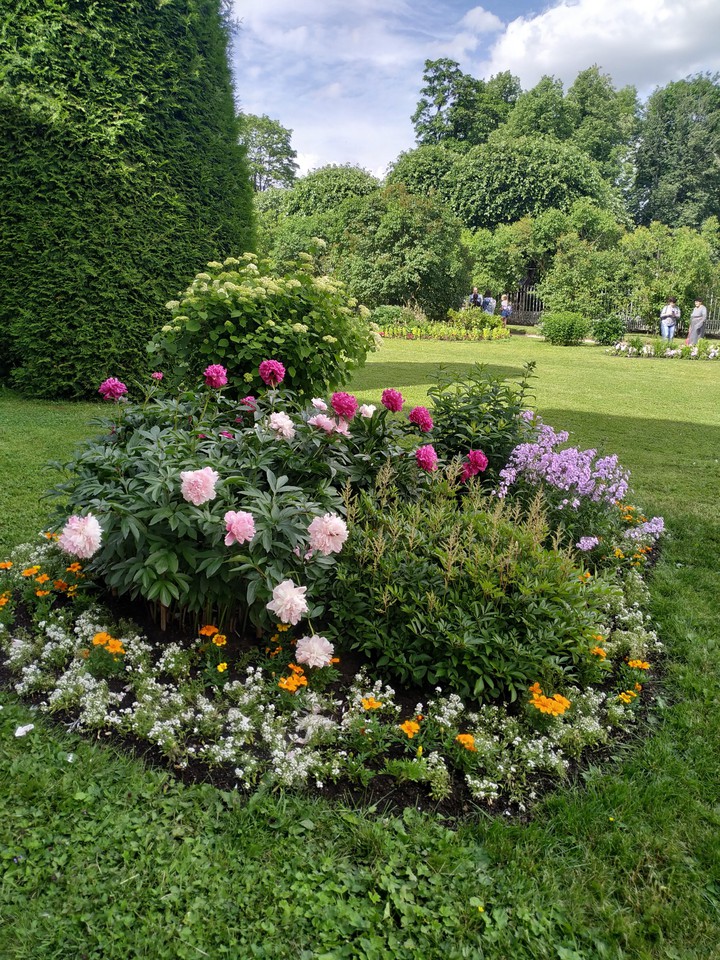 peonies