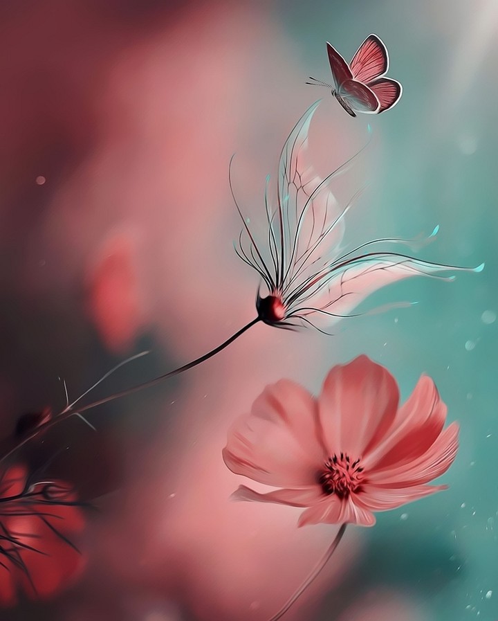 Wallpaper ❤️