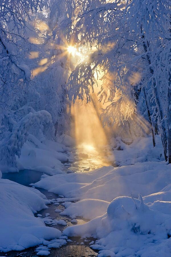 Winter beams