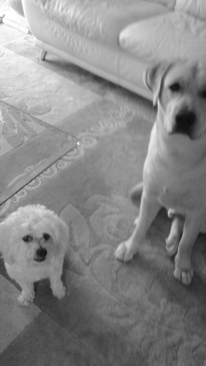 Friends for life.