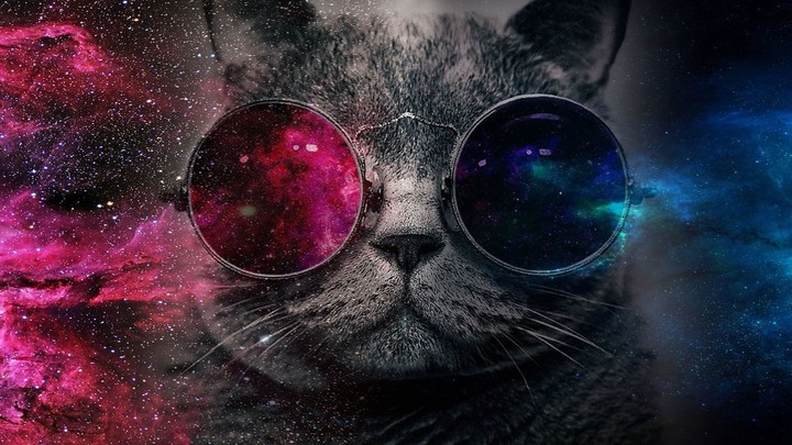 КОТ КОСМОС