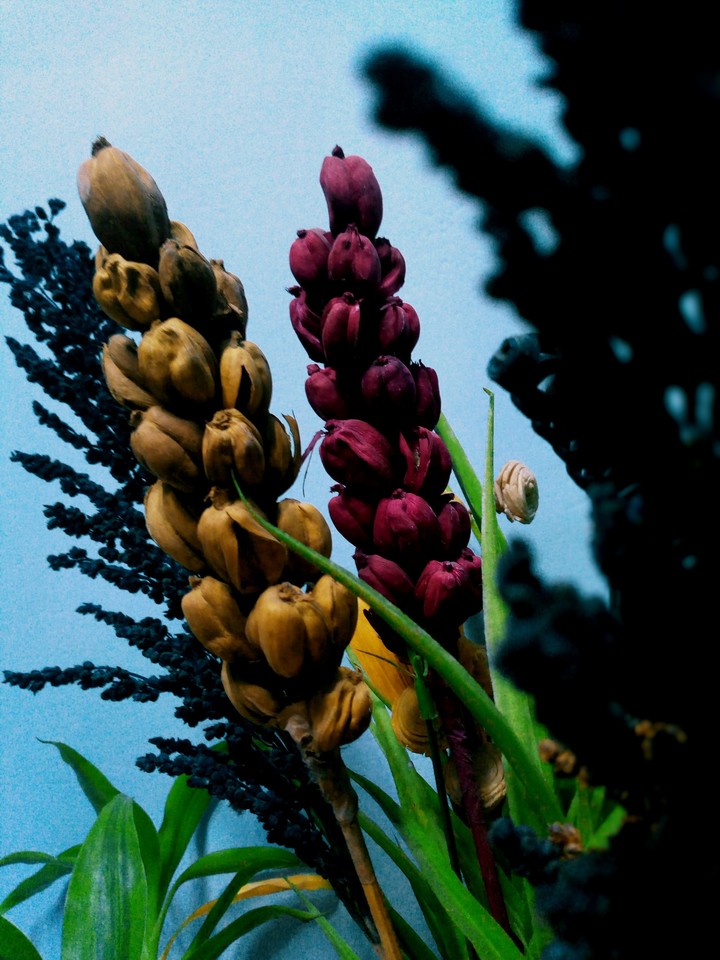 beautifulness of artificials
