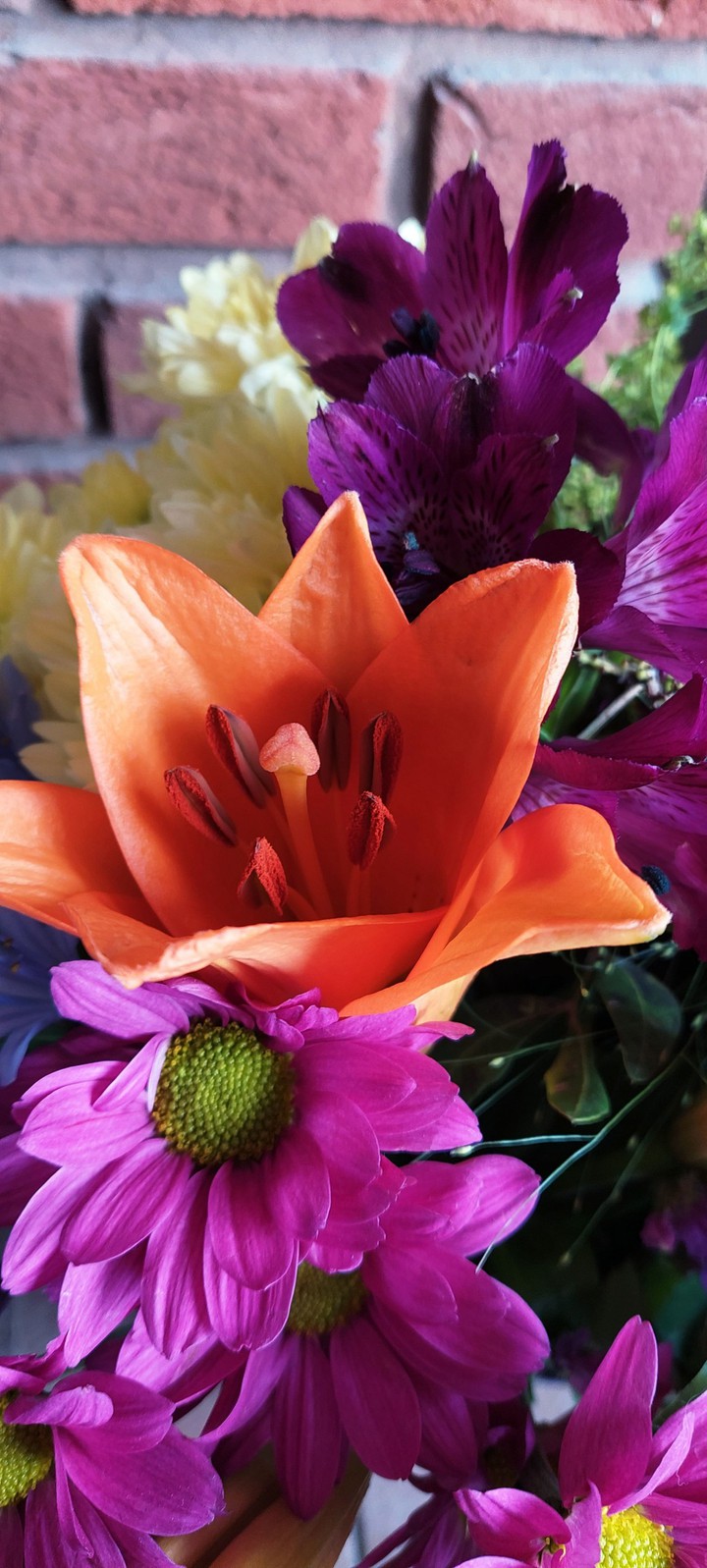 floral delights