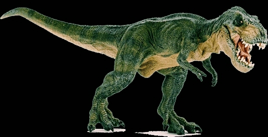 png image