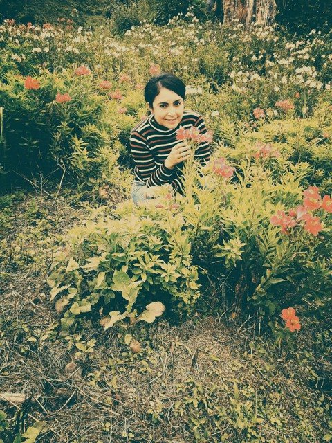 Flores en las alturas