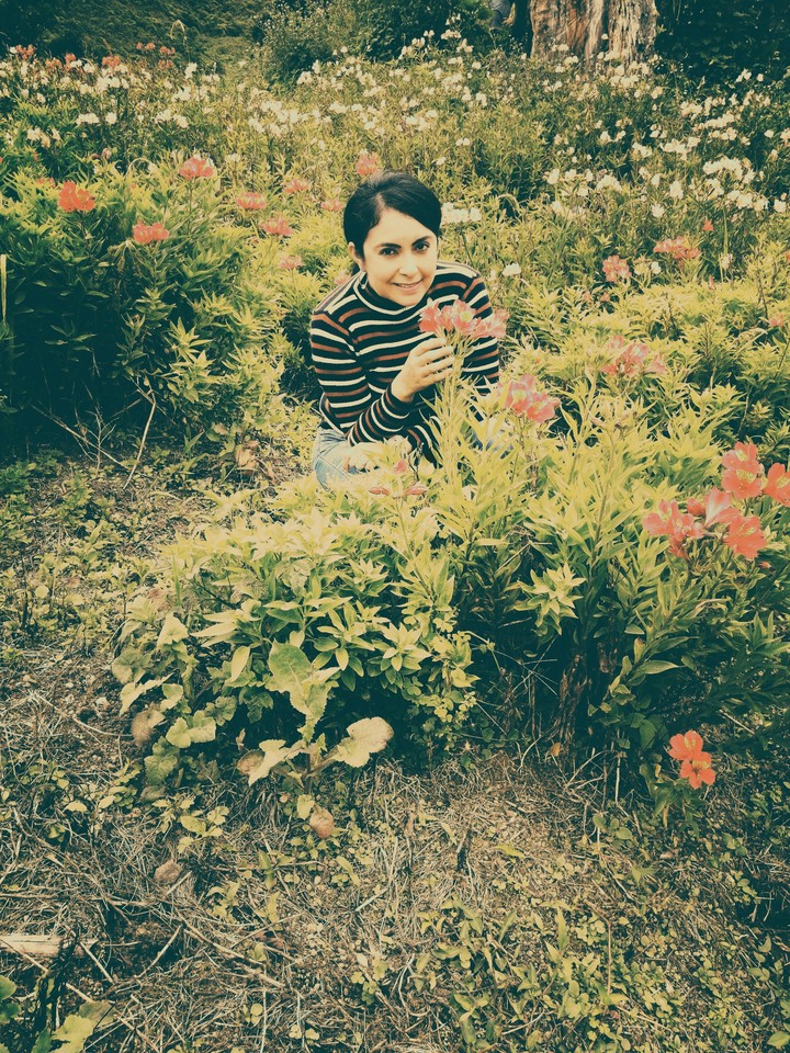 Flores en las alturas