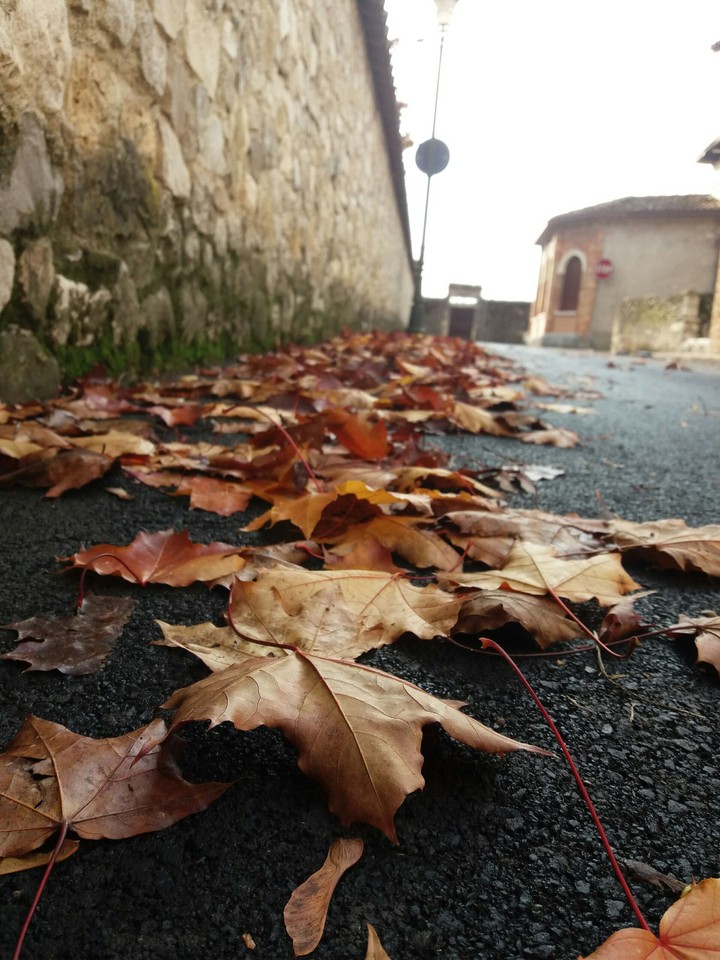 //autunno//2016