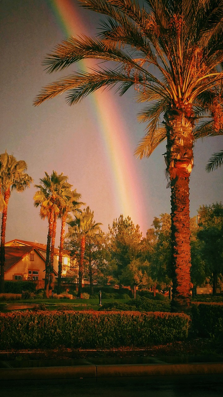 Where The Rainbow Lays
