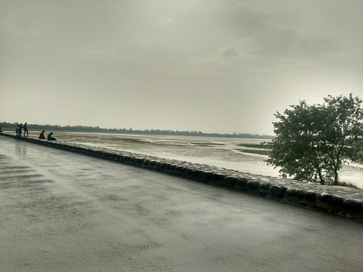 Rain