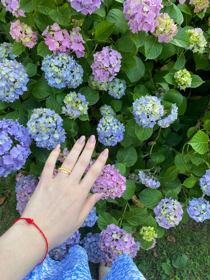 my favorite garden