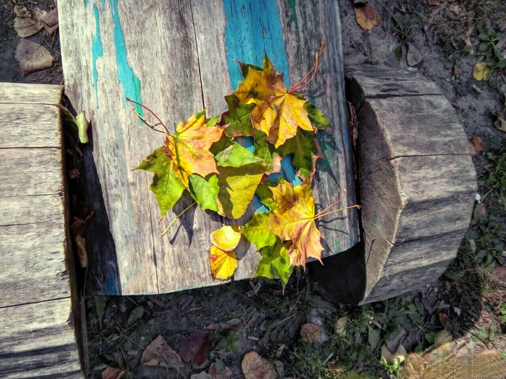 Autumn