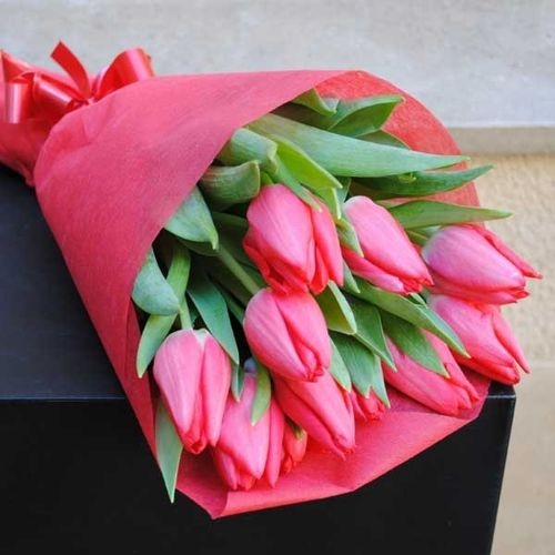 Flores