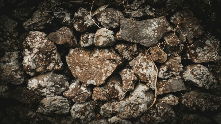 root of the rock