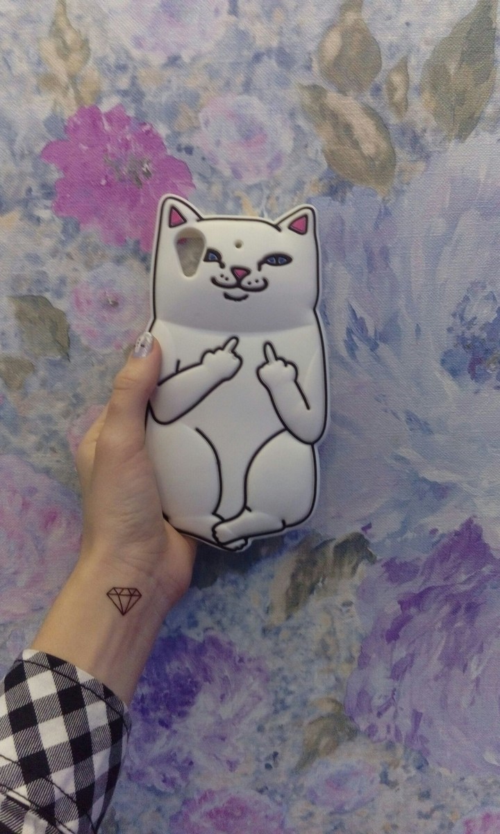 cat/fuck