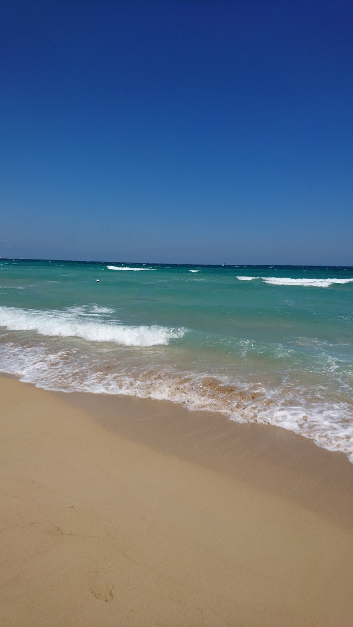 mare