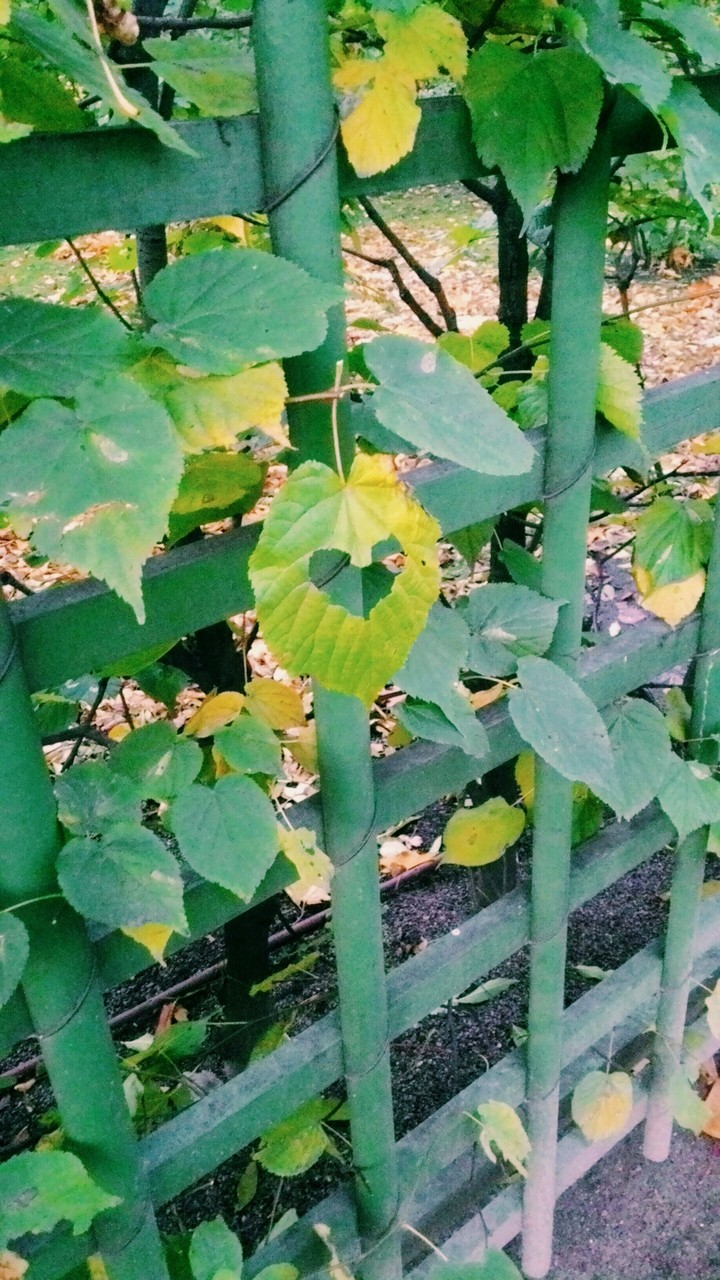 ❤