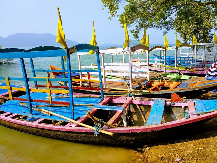boats lined up