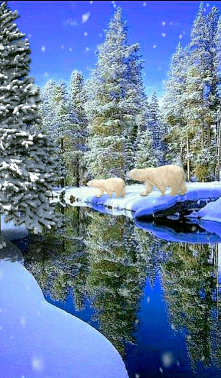 Nature.
