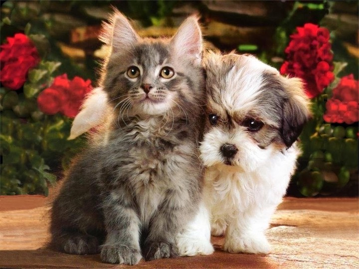 beautiful ???
