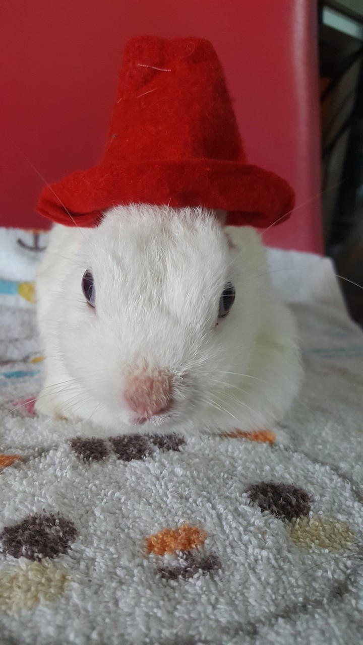 Ruby
