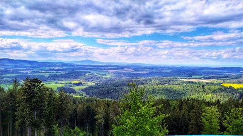 nature
